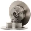 Brembo Remschijf achter