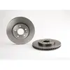 Brembo Remschijf