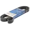 Poly V-riem 6PK2535 DAYCO