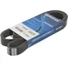 Multiriem 7PK1557S DAYCO
