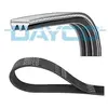 Poly V-riem 3PK823EE DAYCO