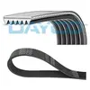 Multiriem 6PK952S DAYCO