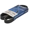 Multiriem 6PK972 DAYCO