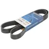 Poly V-riem 8PK1390 DAYCO