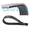 Dayco Multiriem