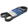 Dayco Multiriem