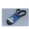 Dayco Multiriem