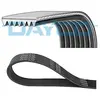 Dayco Multiriem