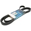 Dayco Multiriem