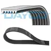 Dayco Multiriem