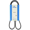 Dayco Multiriem