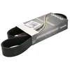 Dayco Multiriem