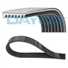 Dayco Multiriem