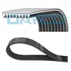 Poly V-riem 9PK2313HD DAYCO