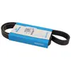 Dayco Multiriem