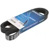 Multiriem 6PK1663S DAYCO