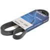 Multiriem 6PK1555S DAYCO