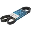 Multiriem 7PK1322S DAYCO