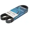 DAYCO Multiriem