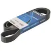Multiriem 7PK1705DT DAYCO