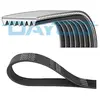 Multiriem 7PK1055S DAYCO