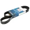 Dayco Multiriem