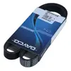 Multiriem 6PK1029EE DAYCO