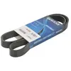 Multiriem 7PK1165S DAYCO