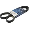 Multiriem 6PK1340S DAYCO