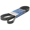 Dayco Multiriem