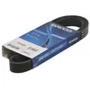 Multiriem 6PK1525S DAYCO