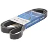 Multiriem 6PK2411S DAYCO