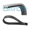 Multiriem 3PK800S DAYCO