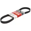 Multiriem 6PK868EE DAYCO