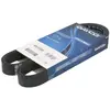 Dayco Multiriem