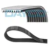 Multiriem 9PK2295HD DAYCO