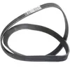 Dayco Multiriem