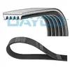 Poly V-riem 5PK1028S DAYCO