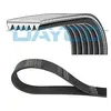 Dayco Multiriem