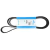 Dayco Multiriem