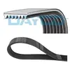 Dayco Multiriem