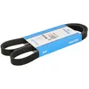 Dayco Multiriem