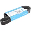 Dayco Multiriem
