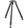 Gitzo Gitzo GT5533S Trépied Systematic Serie 5, 3 sections, carbone