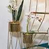 Support à plantes en métal Glod (Lot de 2)