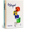 Le Cirque A4 karton 160 g/m2 250 vel in 5 pasteltinten FAVINI