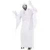 Widmann Costume fantome adulte s