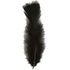 Widmann Sierveren - 50x - zwart - 17 cm - knutselveertjes - decoratie/hobbymateriaal