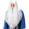 W WIDMANN MILANO Party Fashion Perruque - Magicien - Barbe - Adulte - Blanc - Extérieur