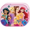 Disney, Pare-soleil pour voiture, Princess - Pare-soleil pour voiture ...